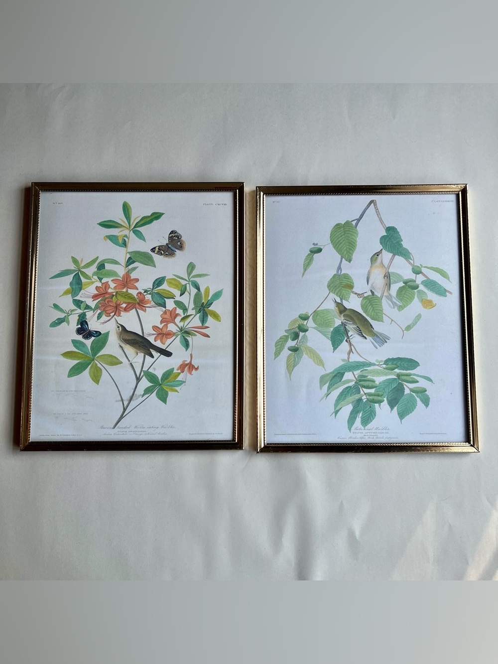 Vintage Brass Picture Photo Frames w/ Fine Art Prints-Set of 2